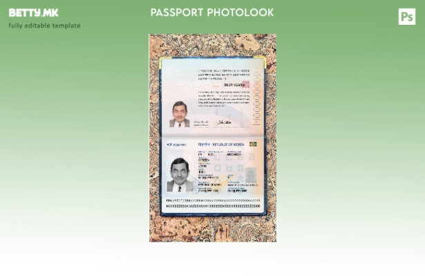 Модерен стил на корејски пасош (сегашен) шаблон за фото изглед